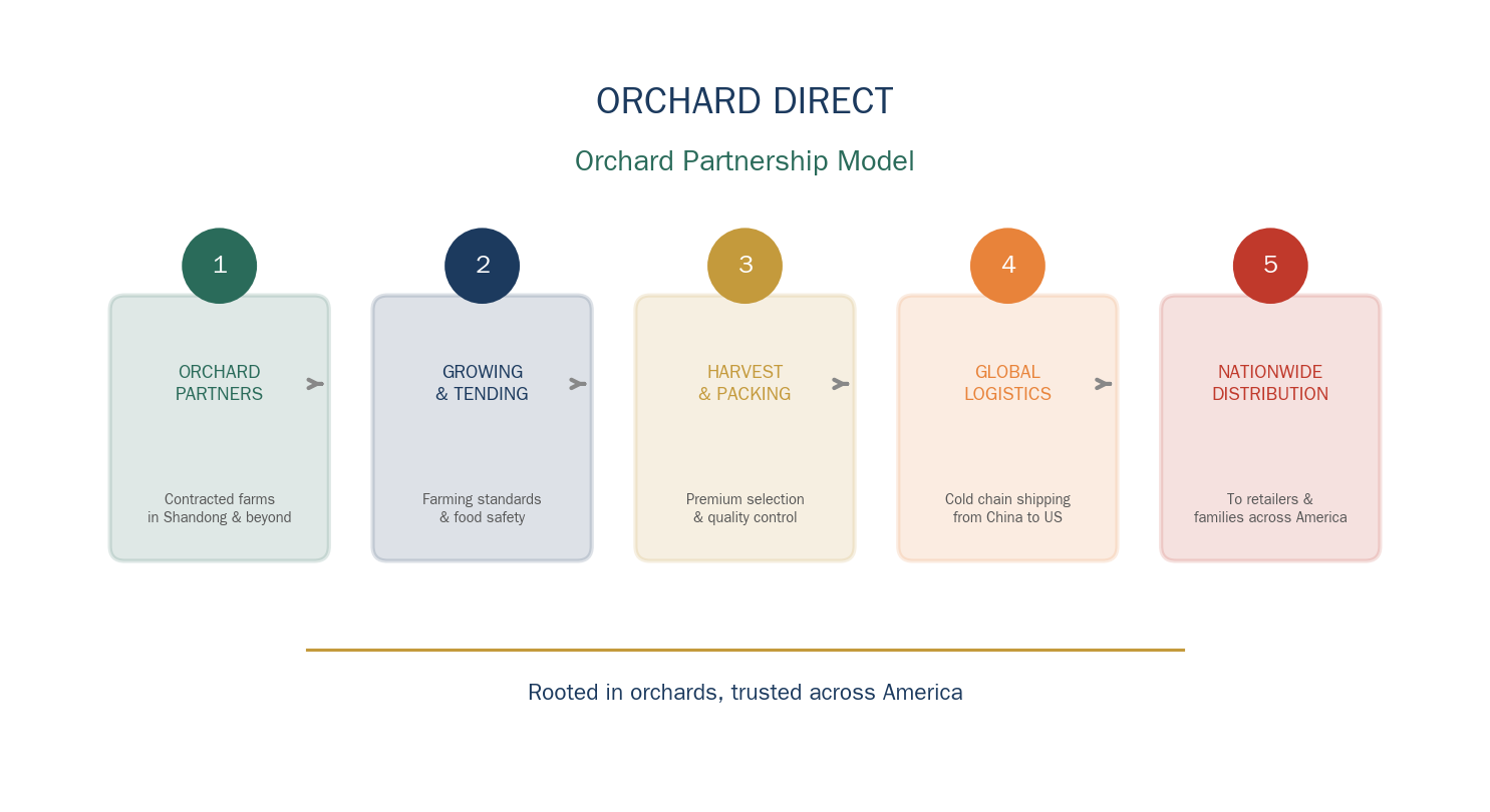 article2_supply_chain_model.png