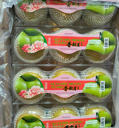 Green Autumn Moon® Pear