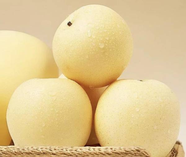 Crown Pear