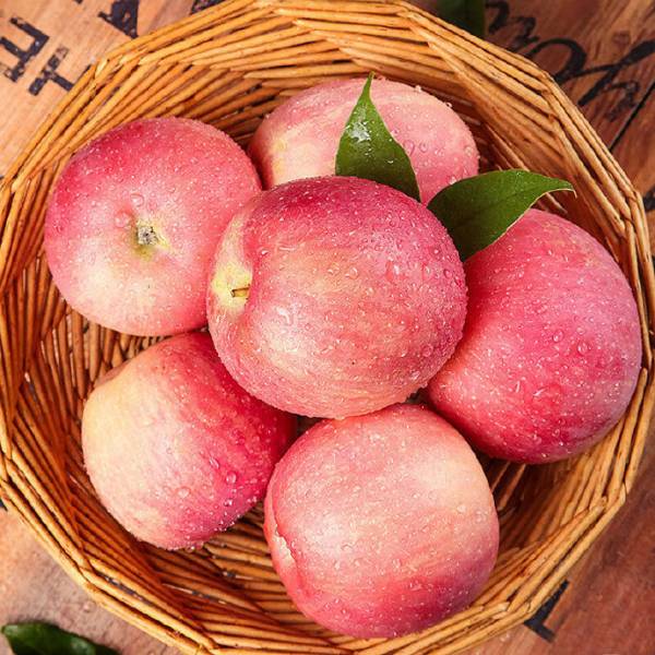 Fuji Apple